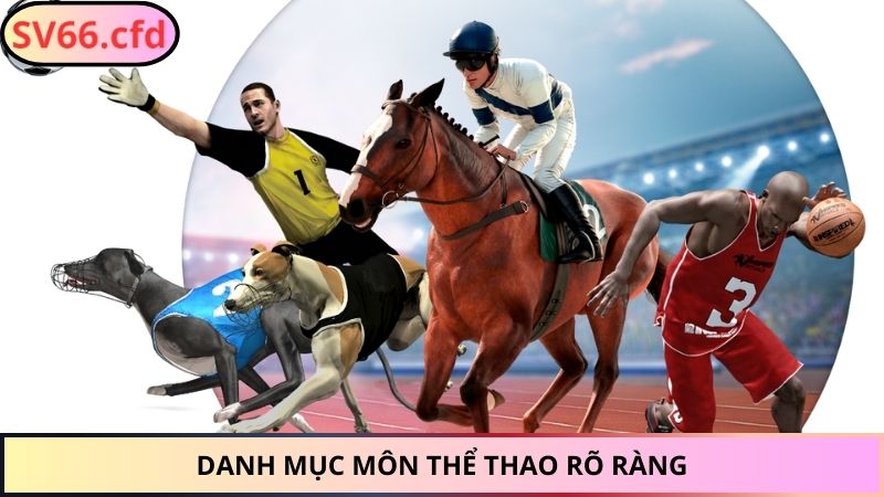 Danh mục môn thể thao rõ ràng