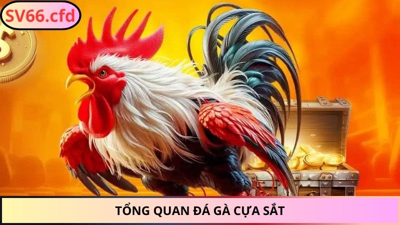 Tổng quan đá gà cựa sắt