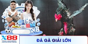 Đá Gà Giải Lớn X88 – Trải Nghiệm Hiện Đại Chuyên Nghiệp