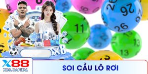 Soi Cầu Lô Rơi X88 - Bí Kíp Bắt Số Chuẩn Cao Thủ 